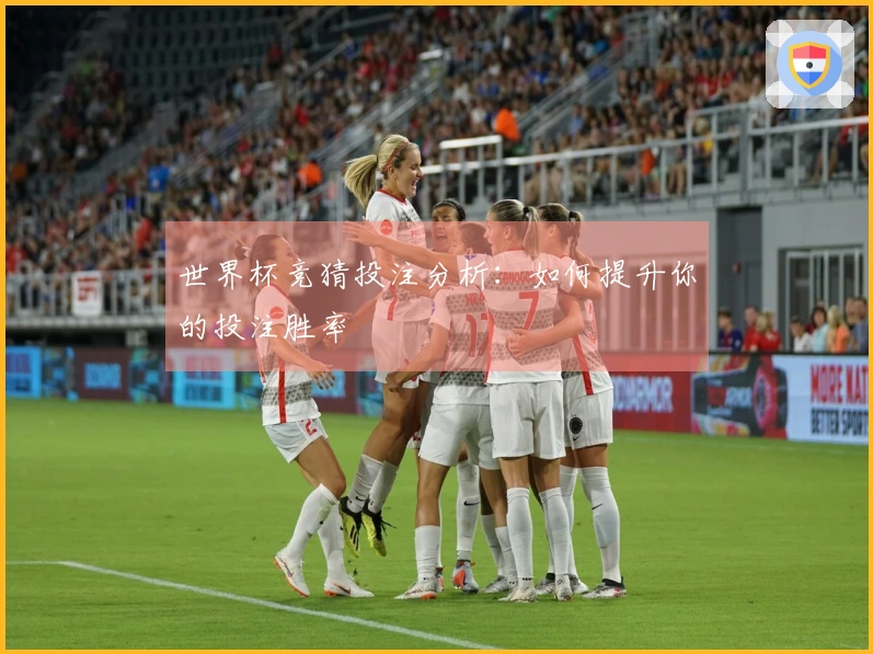 世界杯竞猜投注分析：如何提升你的投注胜率
