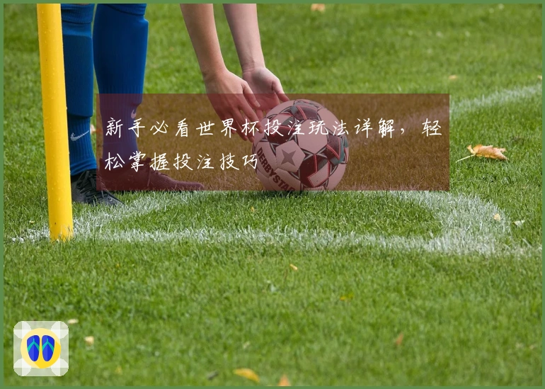 新手必看世界杯投注玩法详解，轻松掌握投注技巧