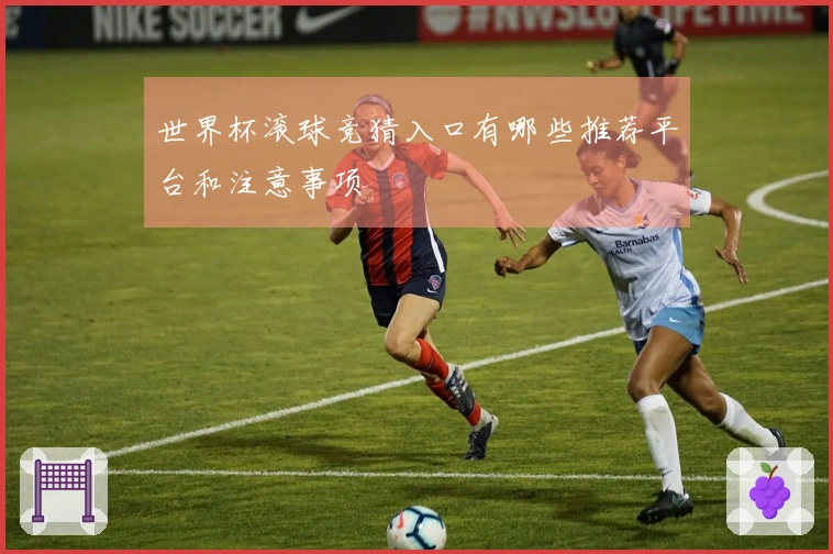 世界杯滚球竞猜入口有哪些推荐平台和注意事项
