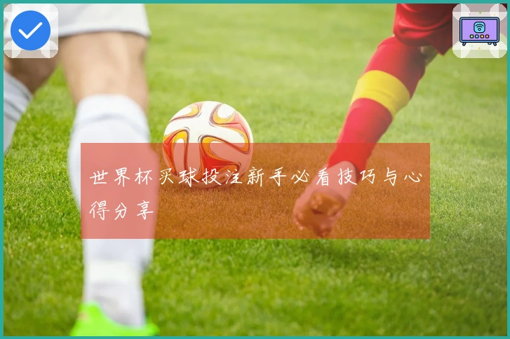 世界杯买球投注新手必看技巧与心得分享