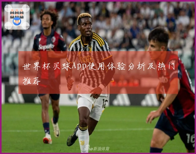 世界杯买球App使用体验分析及热门推荐