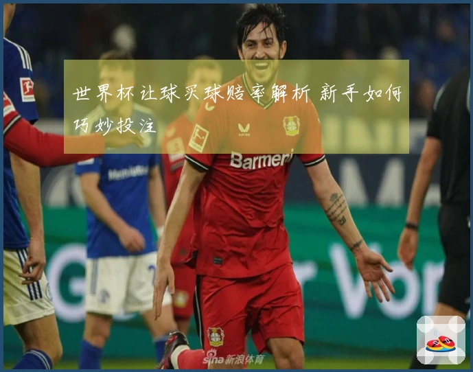 世界杯让球买球赔率解析 新手如何巧妙投注