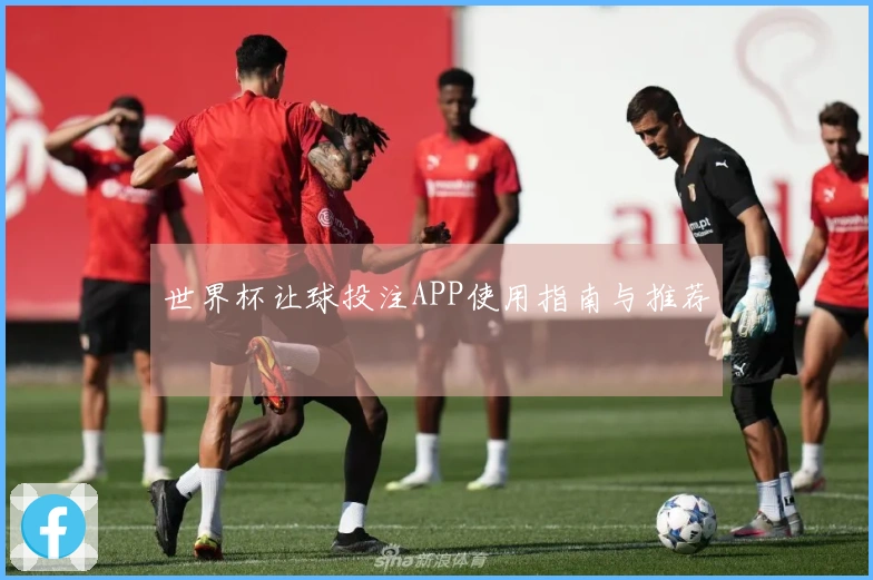 世界杯让球投注APP使用指南与推荐