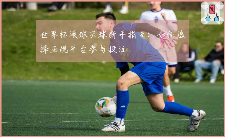 世界杯滚球买球新手指南：如何选择正规平台参与投注