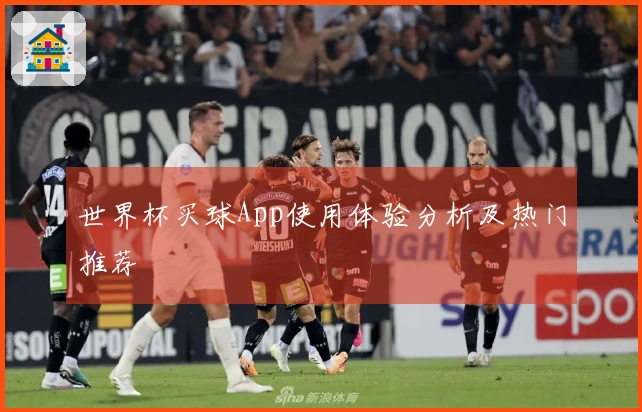 世界杯买球App使用体验分析及热门推荐