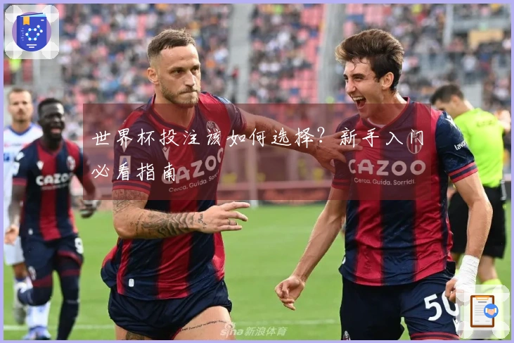 世界杯投注该如何选择？新手入门必看指南