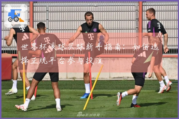 世界杯滚球买球新手指南：如何选择正规平台参与投注