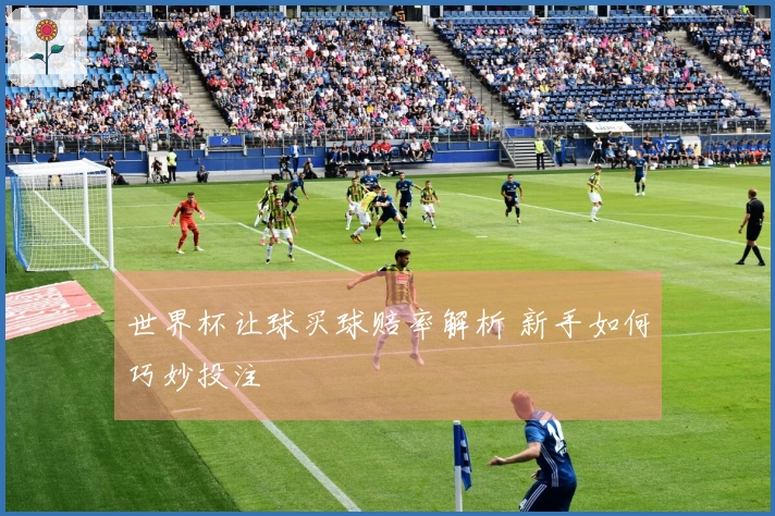 世界杯让球买球赔率解析 新手如何巧妙投注
