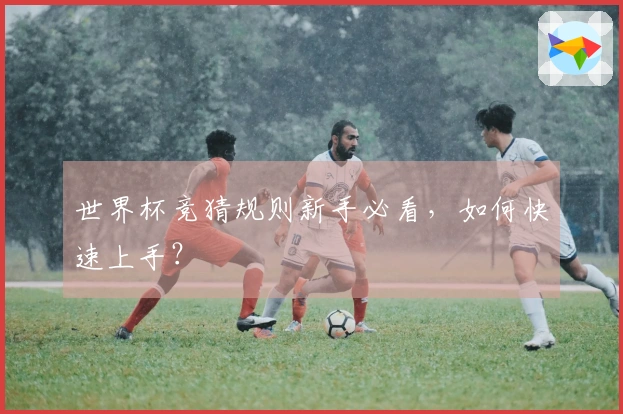 世界杯竞猜规则新手必看，如何快速上手？