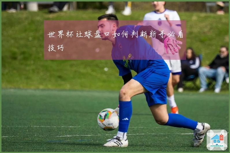 世界杯让球盘口如何判断新手必看技巧