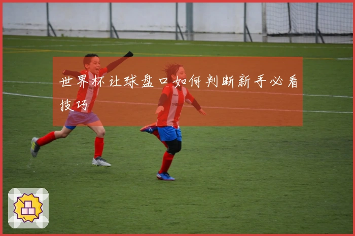 世界杯让球盘口如何判断新手必看技巧