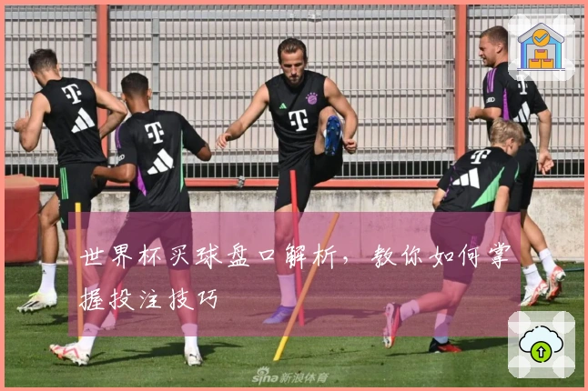 世界杯买球盘口解析，教你如何掌握投注技巧