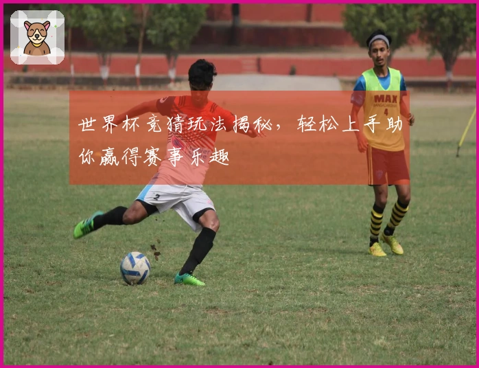 世界杯竞猜玩法揭秘，轻松上手助你赢得赛事乐趣